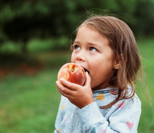 시민의 여가와 웃음이 함께하는 주말! 파주시, 다목적체육관 ‘가족 물놀이장’ 운영 A young girl eating a fresh peach outdoors.